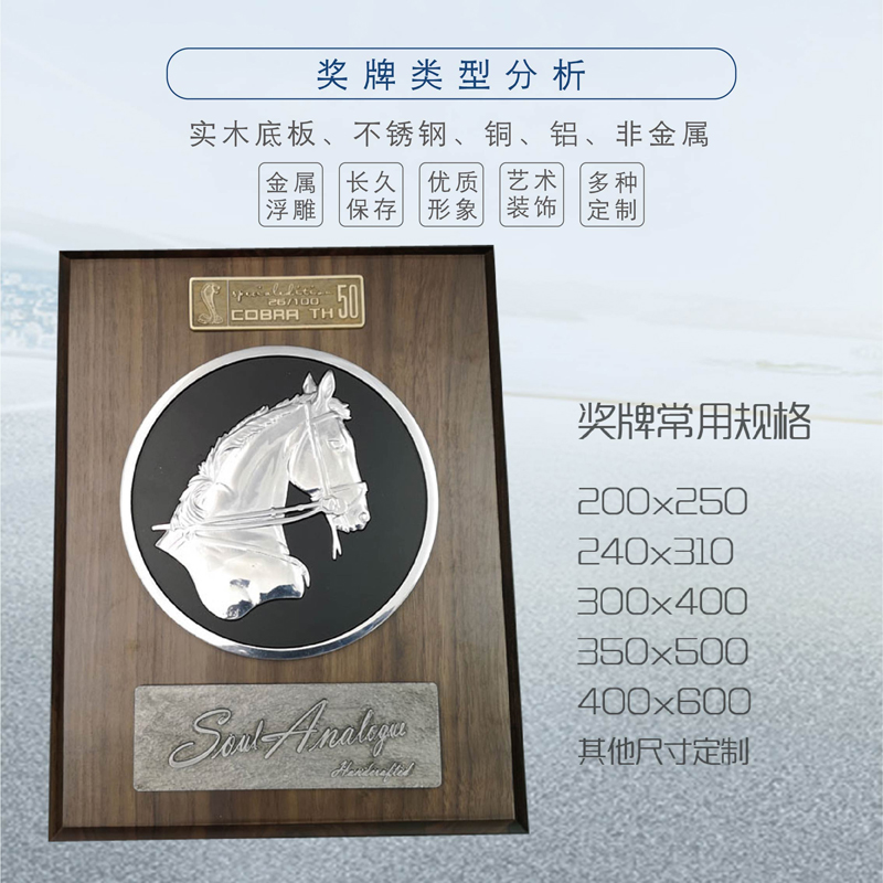 4奖牌产品正视图 1.jpg