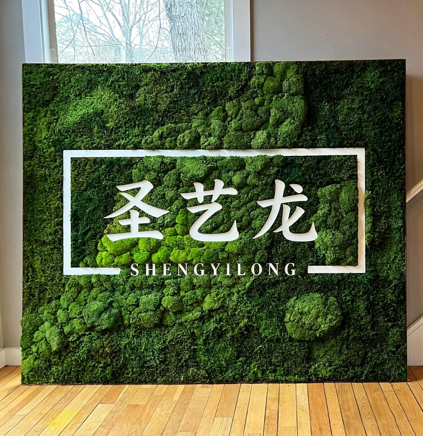 2永生苔藓公司名称定做.jpg